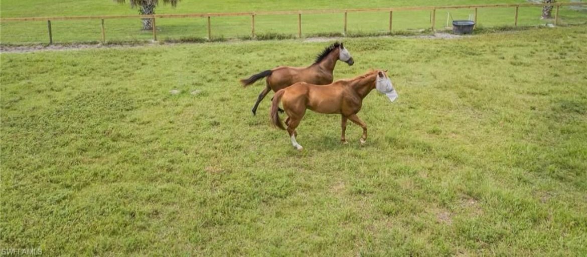 Horses running in the Riverwind Ranch pasture